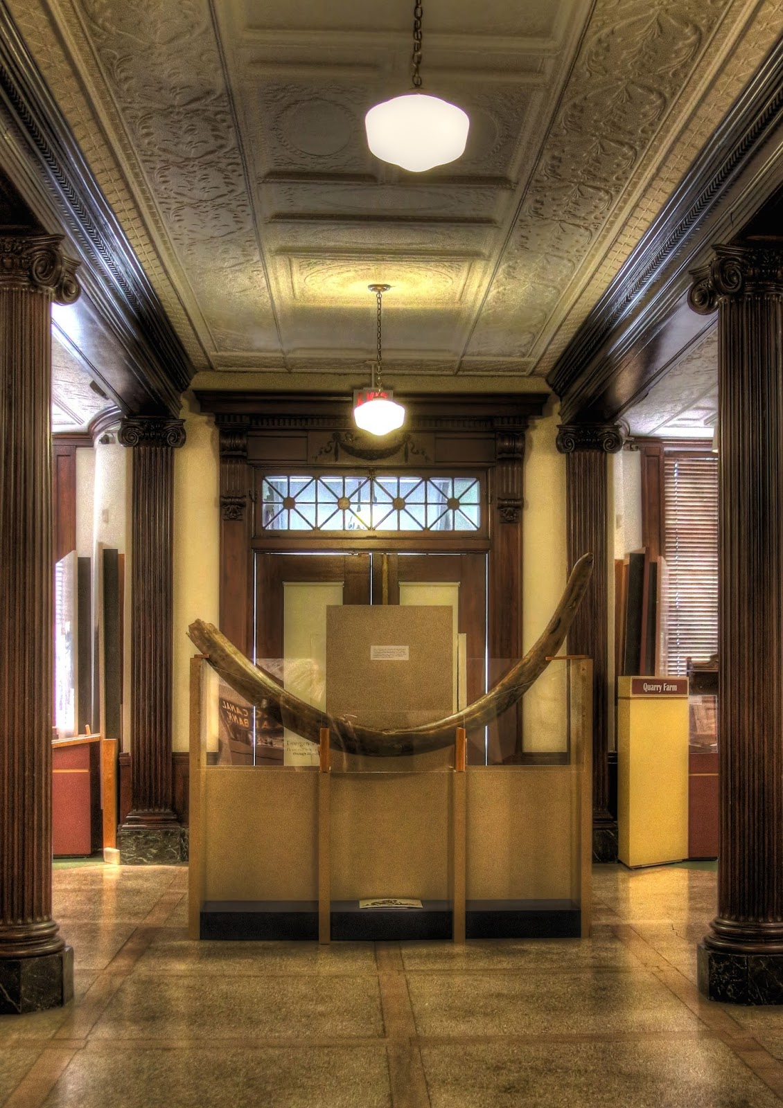 Mammoth Tusk at Chemung Museum